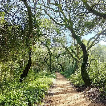 Apartmán Flat 23 Bombarral