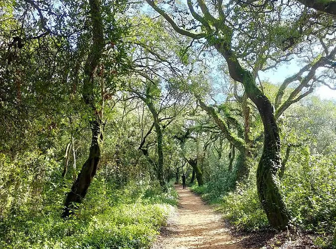 Appartement Flat 23 Bombarral